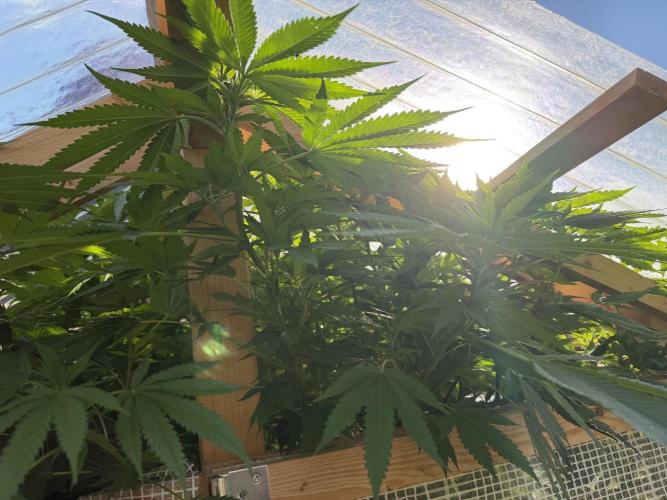 Outdoor 2026. Week 16