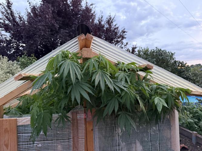 Outdoor 2026. Week 17