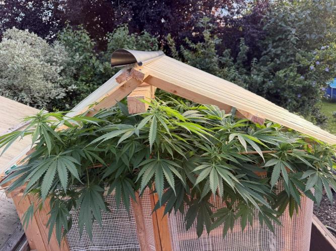 Outdoor 2026. Week 18