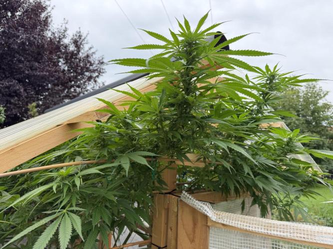 Outdoor 2026. Week 19