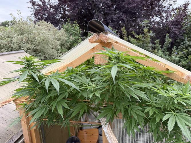 Outdoor 2026. Week 19