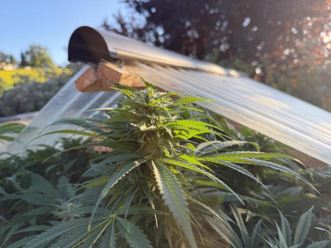 Outdoor 2026. Week 21