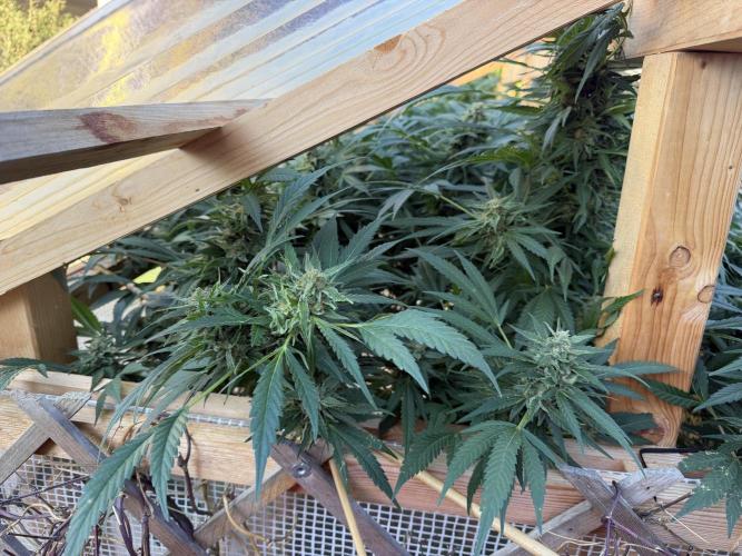Outdoor 2026. Week 21