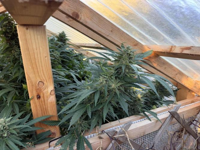 Outdoor 2026. Week 21