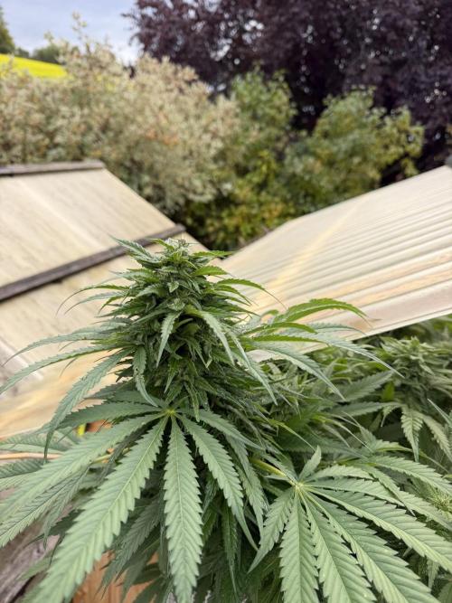 Outdoor 2026. Week 22