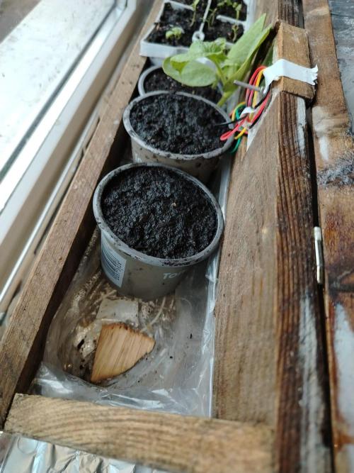 Growing again after 13y. Week 0 - 6) Placed the pot in the smart pot4pot (provisory name). 
