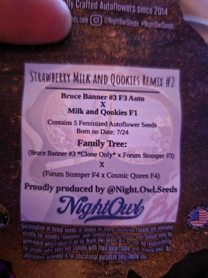 Strawberry Milk and Cookies Remix #2. Week 0