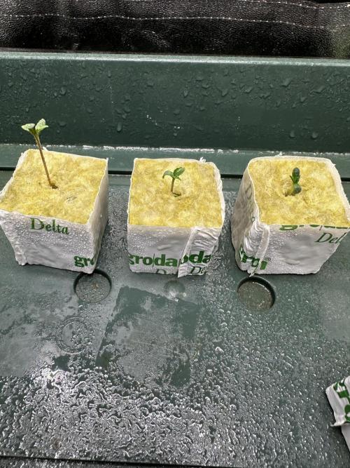 Power Plant. Week 0