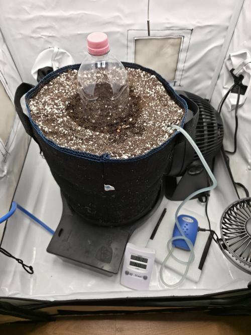 Coast Fruits #01. Week 0 - Diese autopot Teile sind echt stark 💪 ist mein 4ter grow mit diesem Teil 😎