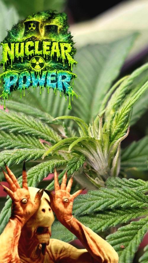 Advance Grow Tent System 2x4, Integrated Smart Controls. Week 9