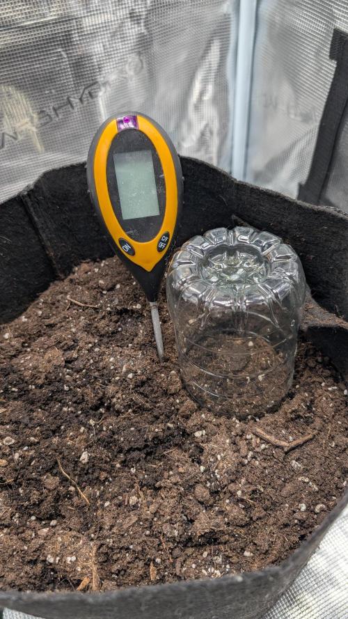 My second grow!. Week 0