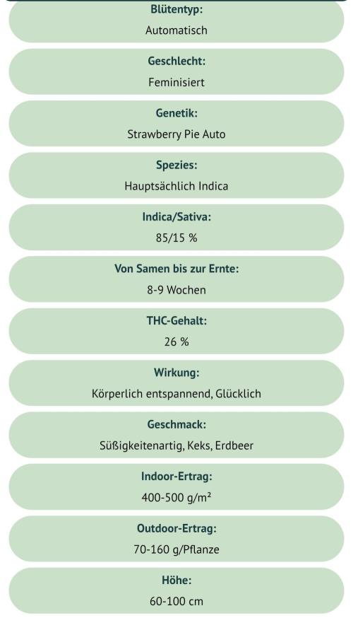 ErdbeerZelt. Week 0