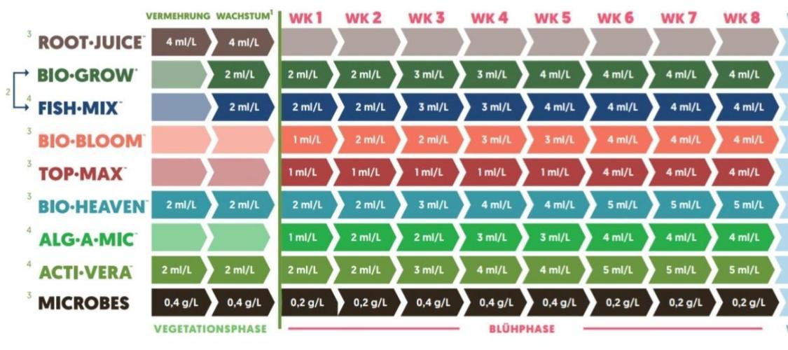 ErdbeerZelt. Week 9 - DüMi WK8 