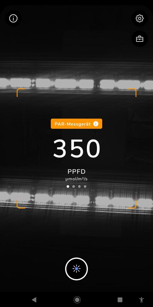 DP60. Week 7