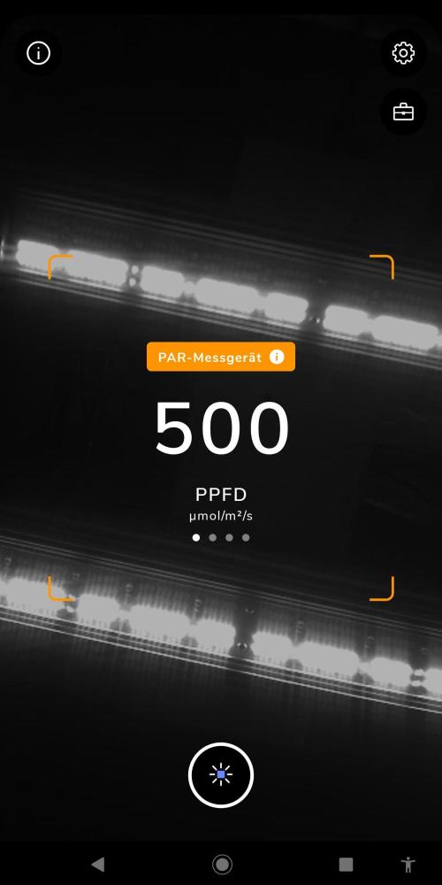DP60. Week 7