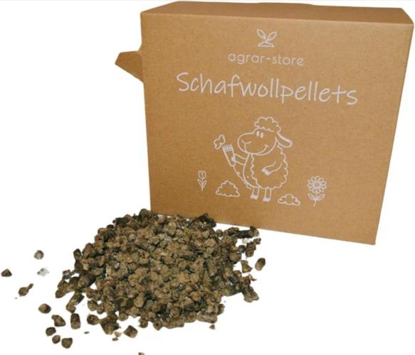 I Nordleuchten I. Week 0