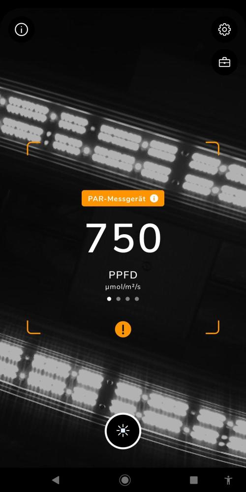 DP60. Week 13