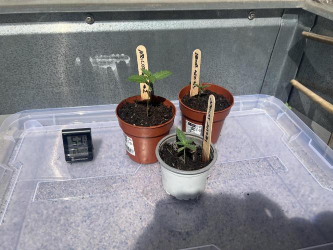 Outdoor 2026. Week 2