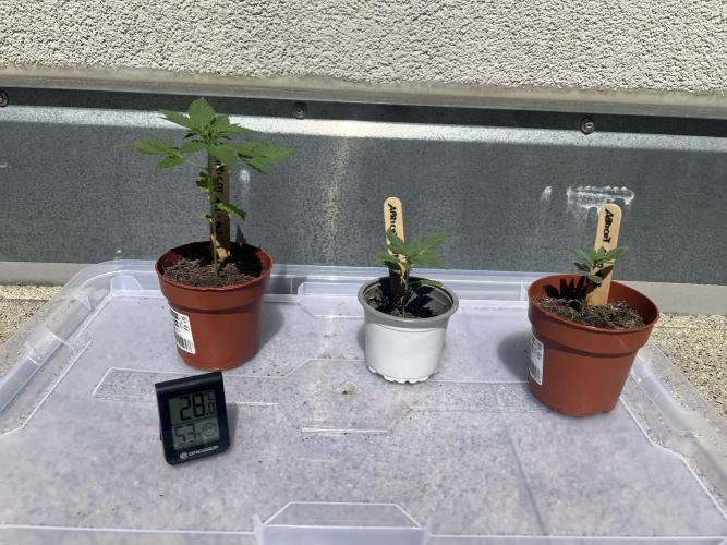 Outdoor 2026. Week 3