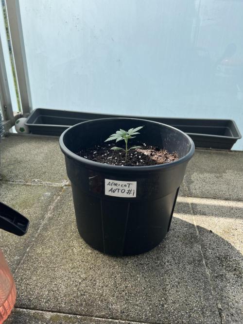 Outdoor 2026. Week 3