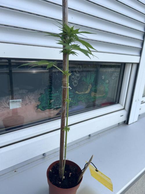 Outdoor 2026. Week 6