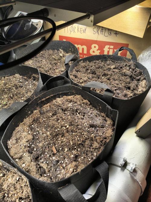 PM Auto. Week 1 - day 1