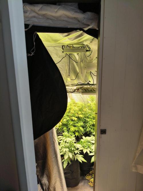 PM Auto. Week 9