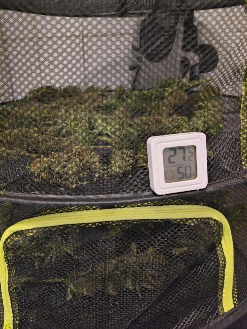 PM Auto. Week 15