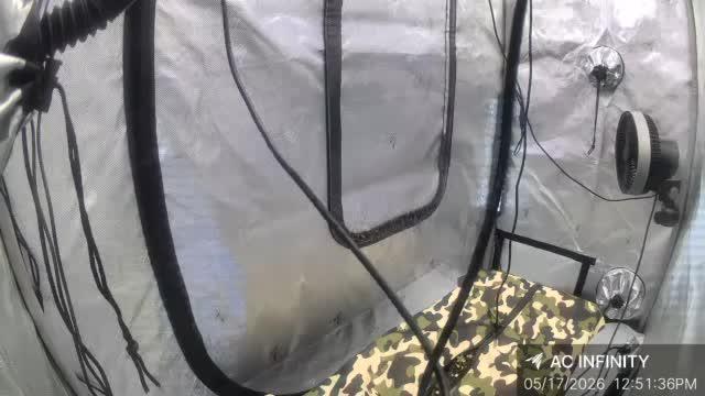 Plant #3: Planet of the Grapes