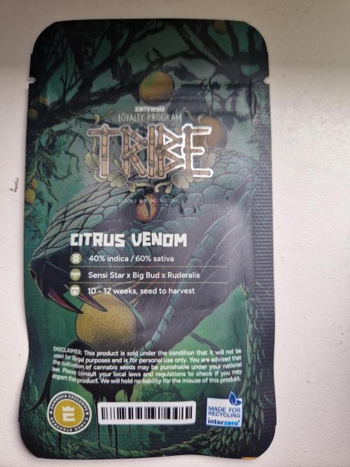 Citrus Venom (Zamnesia Tribe Exclusive). Week 0