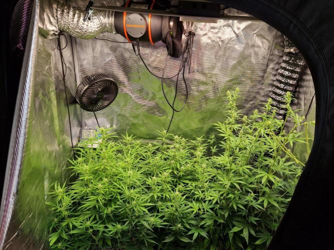 Moonstone. Week 6 - 24.05.26 | Day 45
