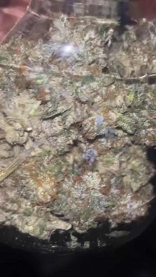 First Grow