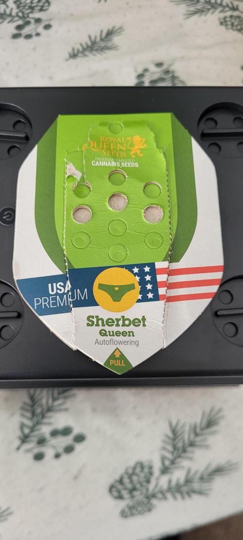 First time. Week 0 - USA Premium for what it's worth.