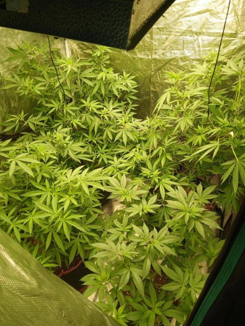 mindful_medicine_1. Week 1