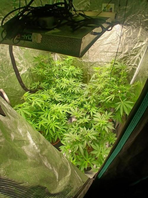 mindful_medicine_1. Week 1