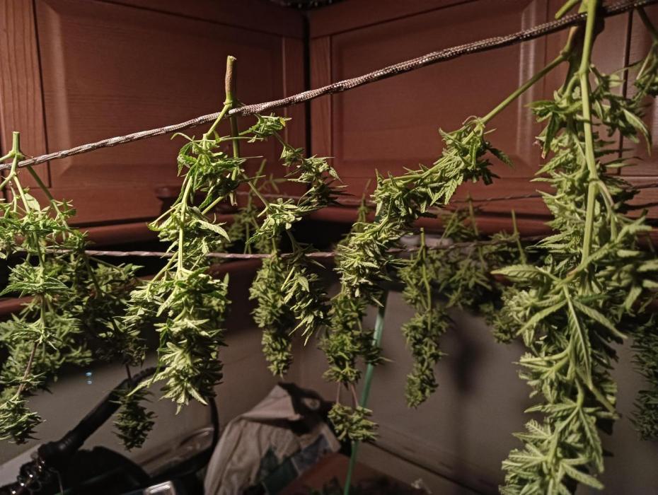 tent 1 photo. Week 12