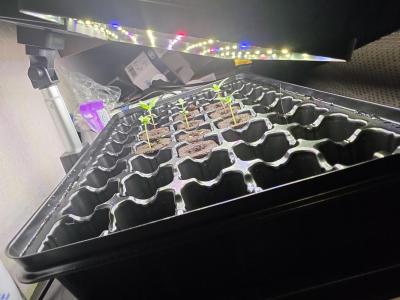 Comment by Trippykidz954 photo #5