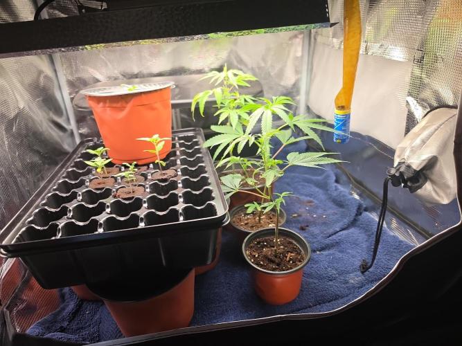My trial and error lol. Week 3
