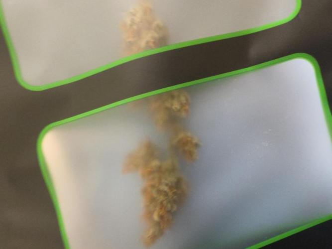 My first grow (most is done). Week 11