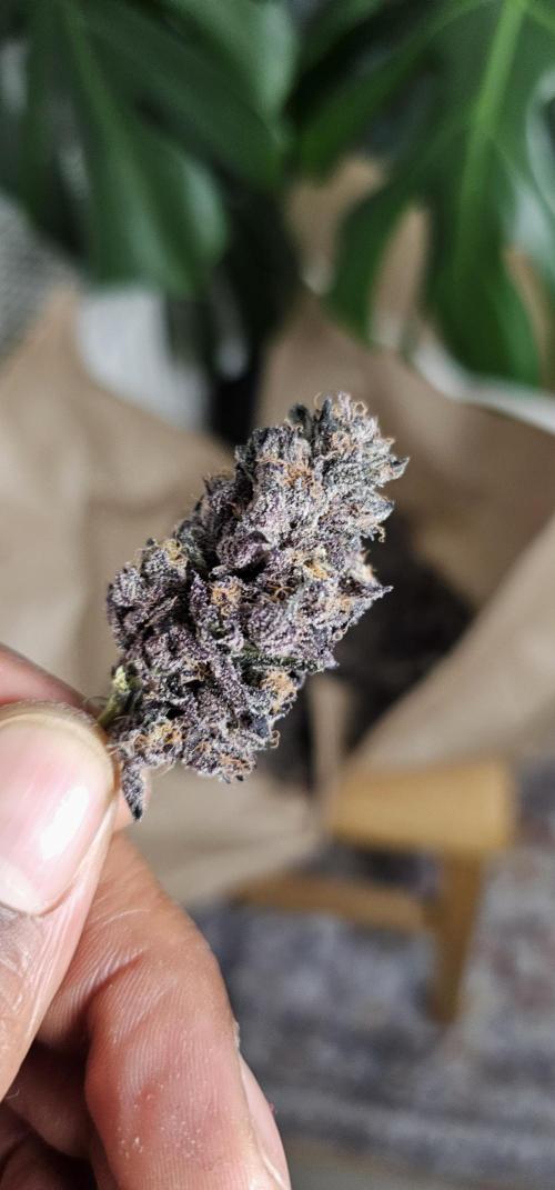 Brain Cake. Week 10 - Looks so yummy