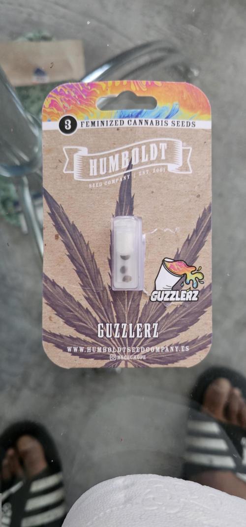 Guzzlerz. Week 0
