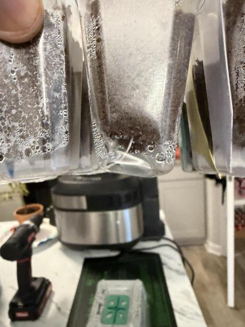 Nimbo’s FB hydroponic grow -HSS. Week 0 - Day 3- Crazy enough some of the roots have hang time