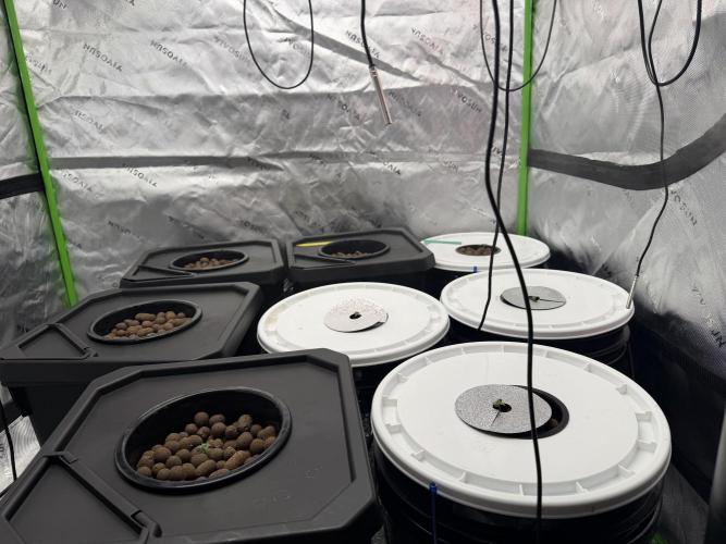 Nimbo’s FB hydroponic grow -HSS. Week 0 - Day 6 - the bucket heck i made trying to deal with the chaos of today. 