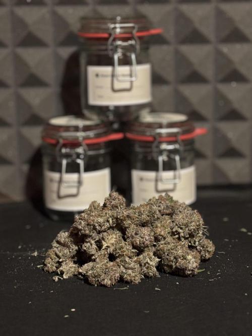 Blue Cheese Grow – First Run (2x2). Week 2 - drying finished → trimmed and ready
slow dry really made the difference