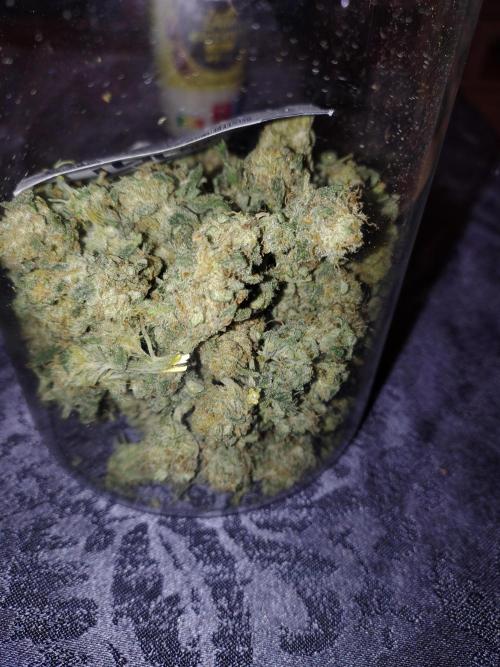 No name. Week 9