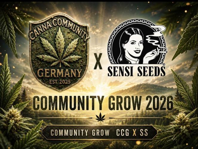 CCG SS Projects. Week 0