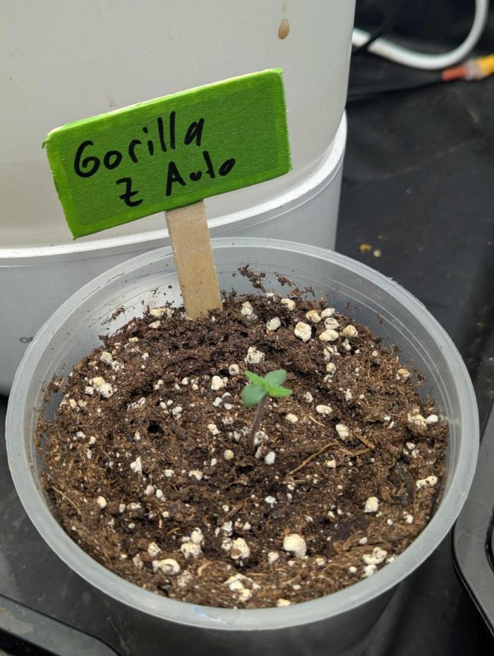 Outdoor 1. Week 1