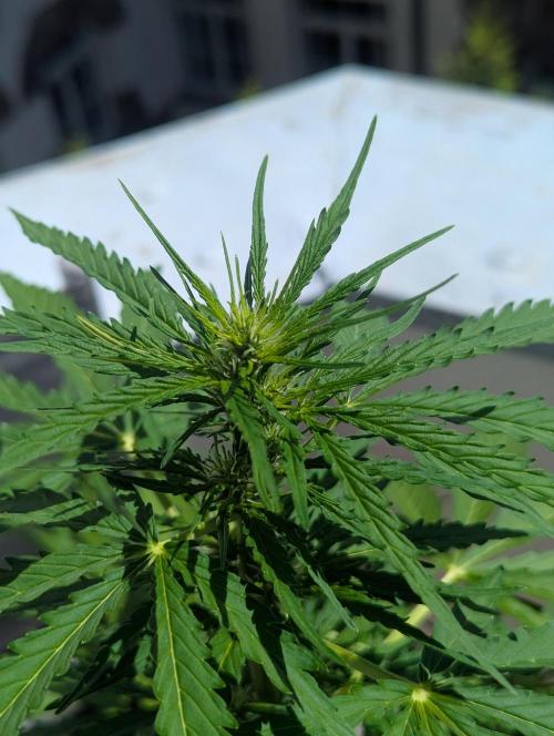 Outdoor 1. Week 6
