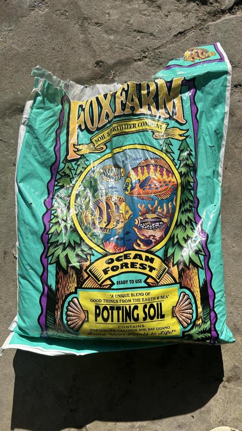 BARNEYS FARM - “LSD”. Week 8 - I’ve always heard that Fox farm is one of the best for organic growing nutrients