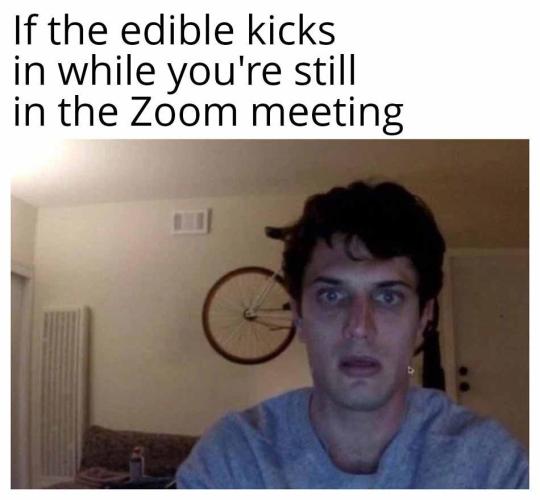 My Weed is Trash, but Memes are good. Week 0